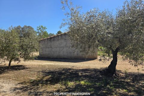 Landejendom i Ginestar, Tarragona, Ginestar - € 36.000 | Ref: 1013 Ginagua - foto 17